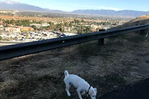 Grand Terrace Dog Park image