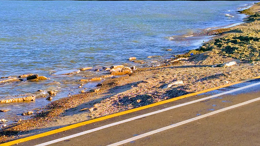 Park «Lincoln Park», reviews and photos, 2045 N Lincoln Park W, Chicago, IL 60614, USA