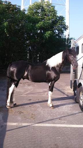 Auto Body Shop «Nalley Collision Center East», reviews and photos, 7947 Mall Pkwy, Lithonia, GA 30038, USA