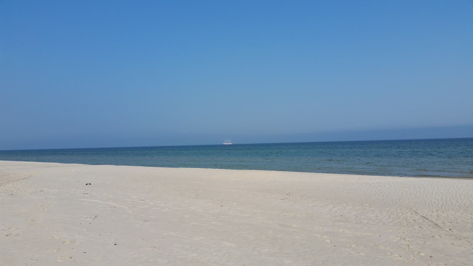 Foto di Mierzeja Sarbska Beach zona selvaggia