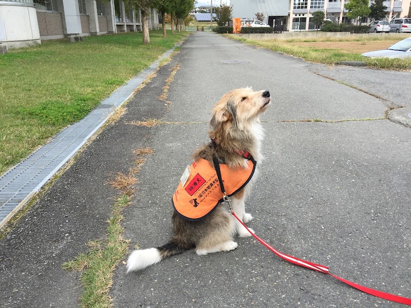 日本聴導犬協会