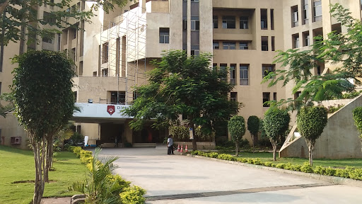 D Y Patil University - School of Medicine