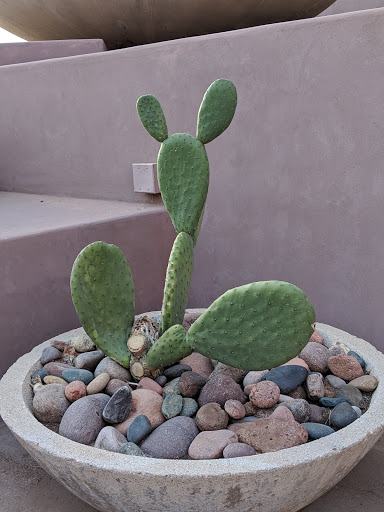 Art Museum «ASU Art Museum», reviews and photos, 51 E 10th St, Tempe, AZ 85281, USA