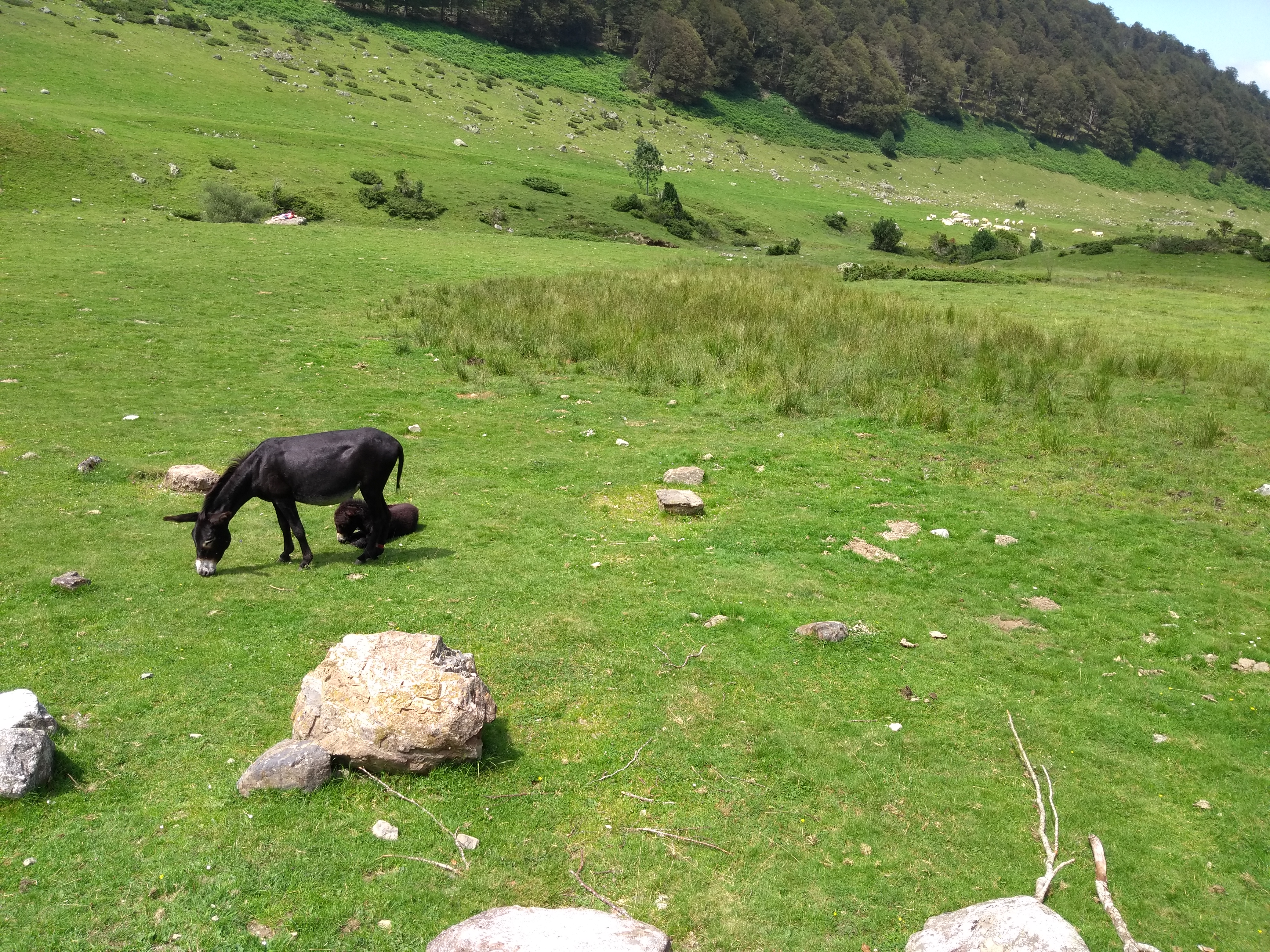 Photo n° 8 de l'avis de King.t fait le 17/07/2019 à 08:25