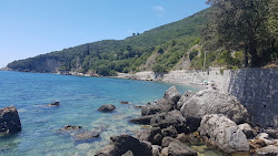 Photo de Spiaggia Della Tragara zone sauvage