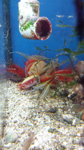 Pet Supply Store «House of Pets Inc», reviews and photos, 29500 Ford Rd, Garden City, MI 48135, USA