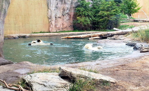 Park «Delaware Park», reviews and photos, Meadow Dr, Buffalo, NY 14214, USA