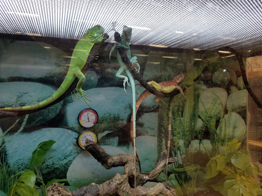 Pet Supply Store «Petco Animal Supplies», reviews and photos, 187 Stonebrook Pl, Jackson, TN 38305, USA