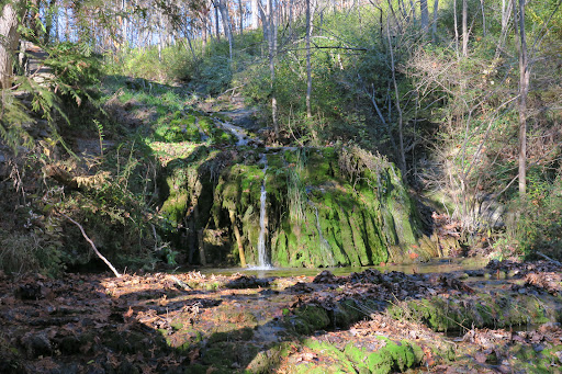 Grocery Store «Natural Bridge General Store», reviews and photos, 593 Wert Faulkner Hwy, Natural Bridge Station, VA 24579, USA