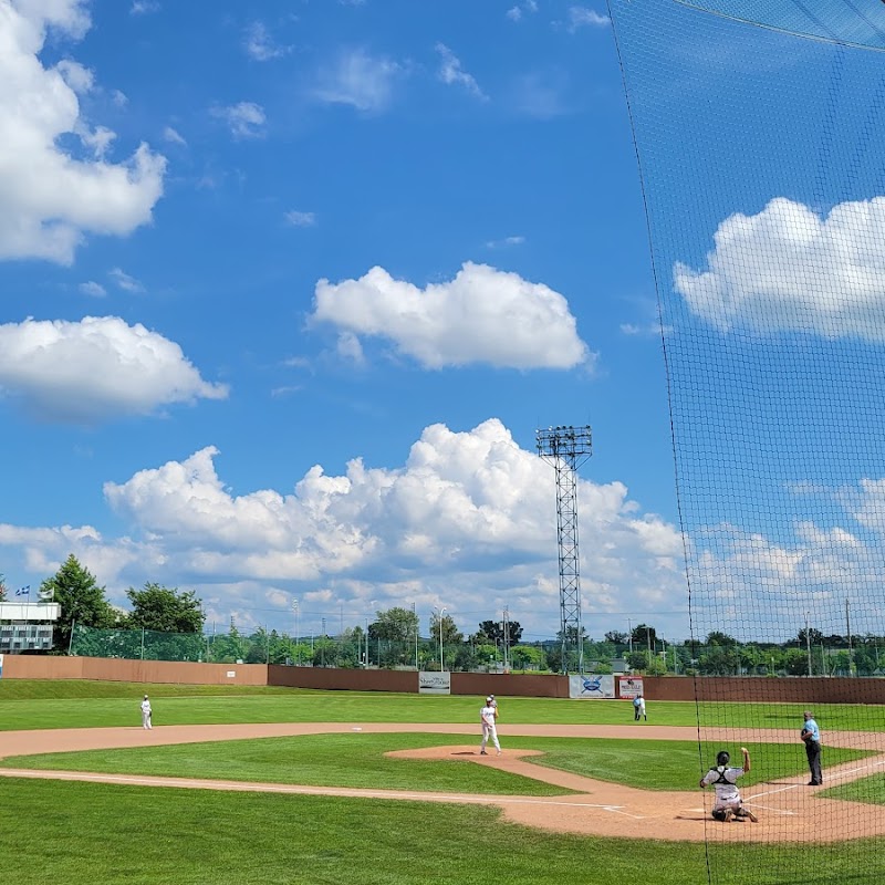 Amedée Roy Stadium