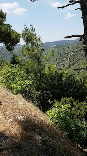 Δημοτικό Σχολείο Μεγαλοχωρίου - Πλωμάρι