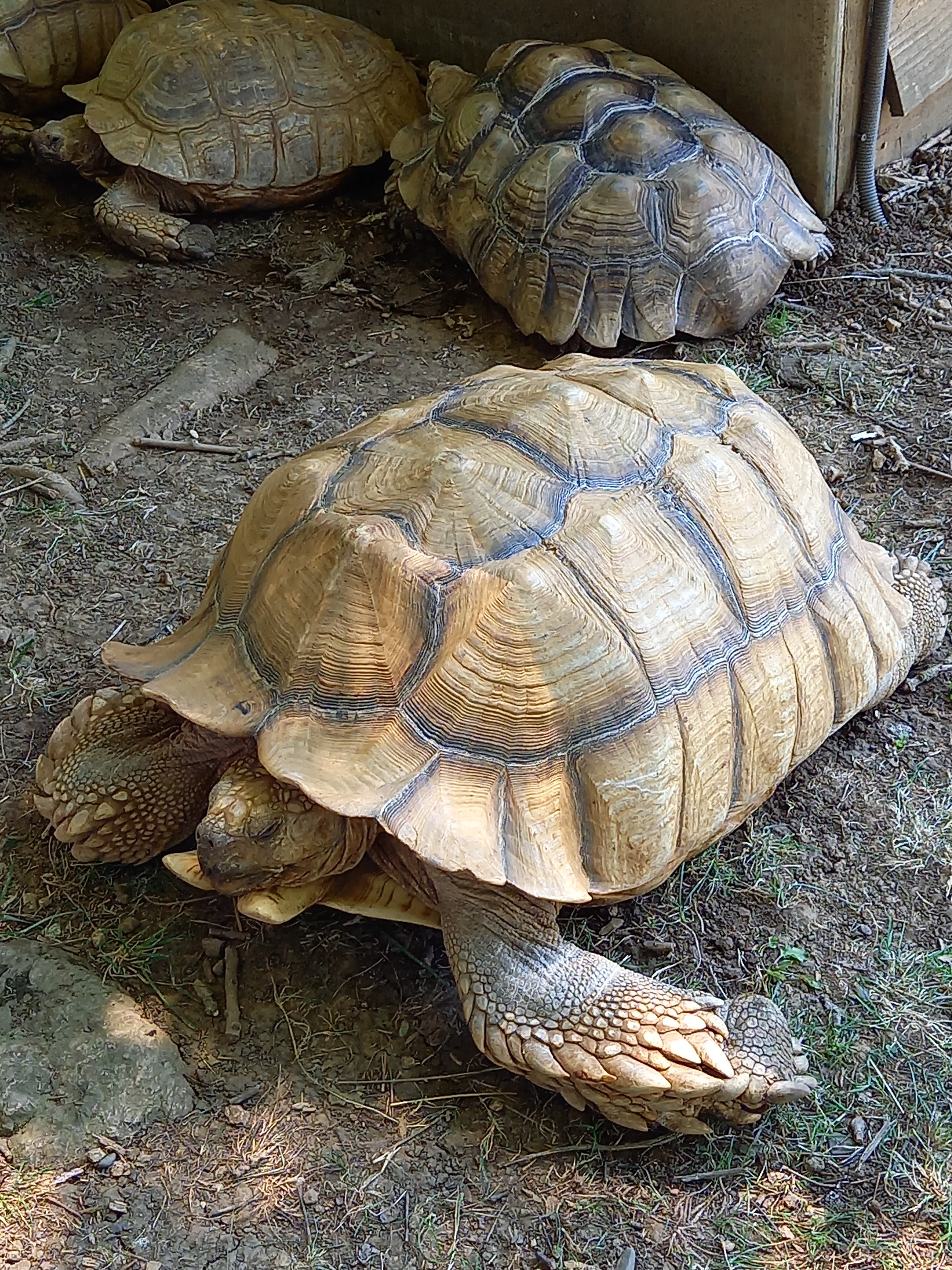 Photo n° 5 de l'avis de Sylvie.o fait le 18/07/2022 à 21:21
