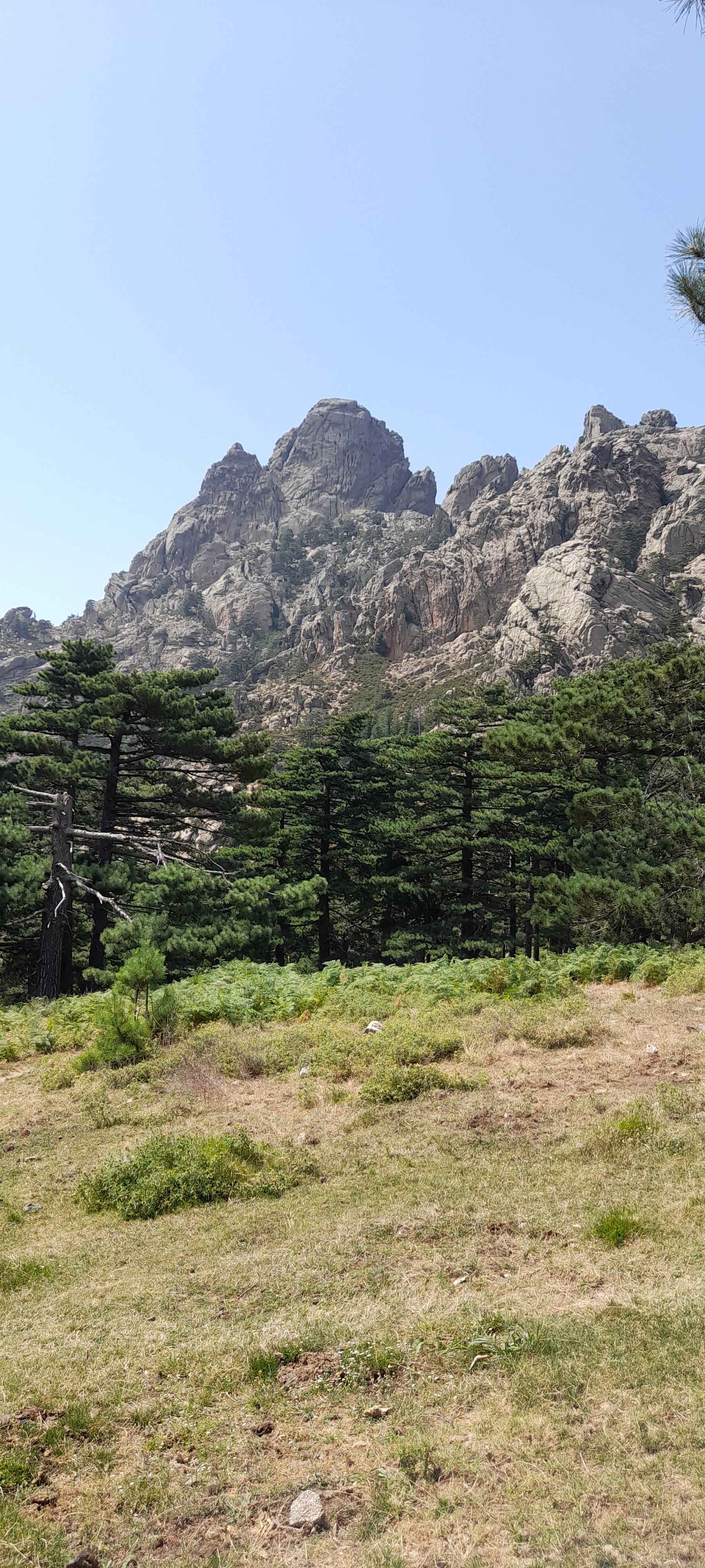 Photo n° 4 de l'avis de Thibault.E fait le 22/07/2023 à 11:07