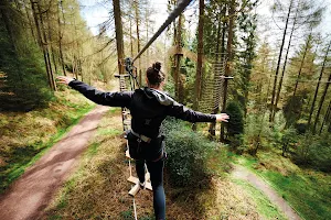 Go Ape Sherwood image