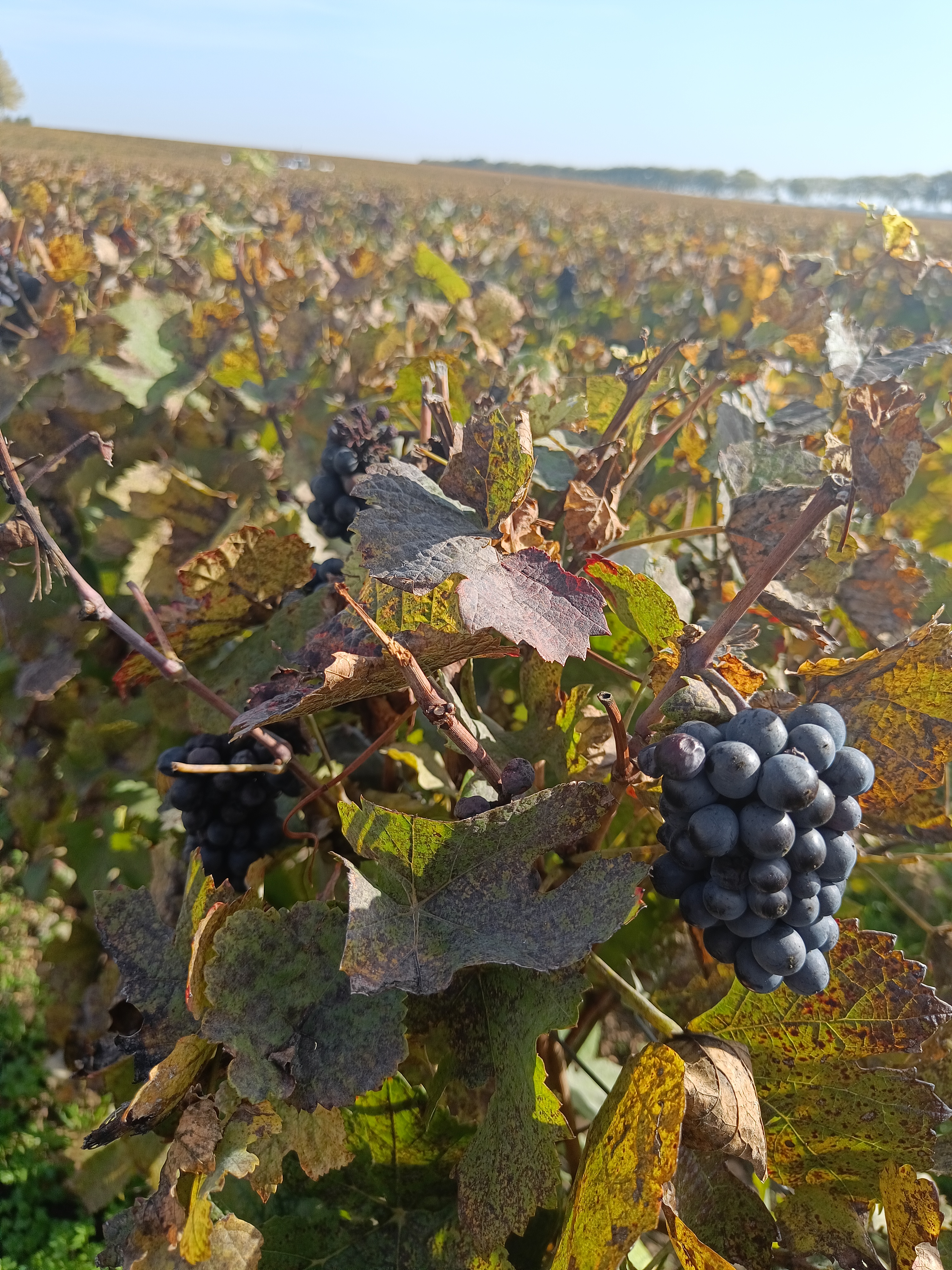 Photo n° 2 de l'avis de martin.e fait le 10/10/2022 à 15:56