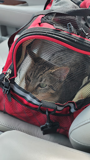 Pet Supply Store «Petco Animal Supplies», reviews and photos, 1483 NJ-23 #14b, Kinnelon, NJ 07405, USA