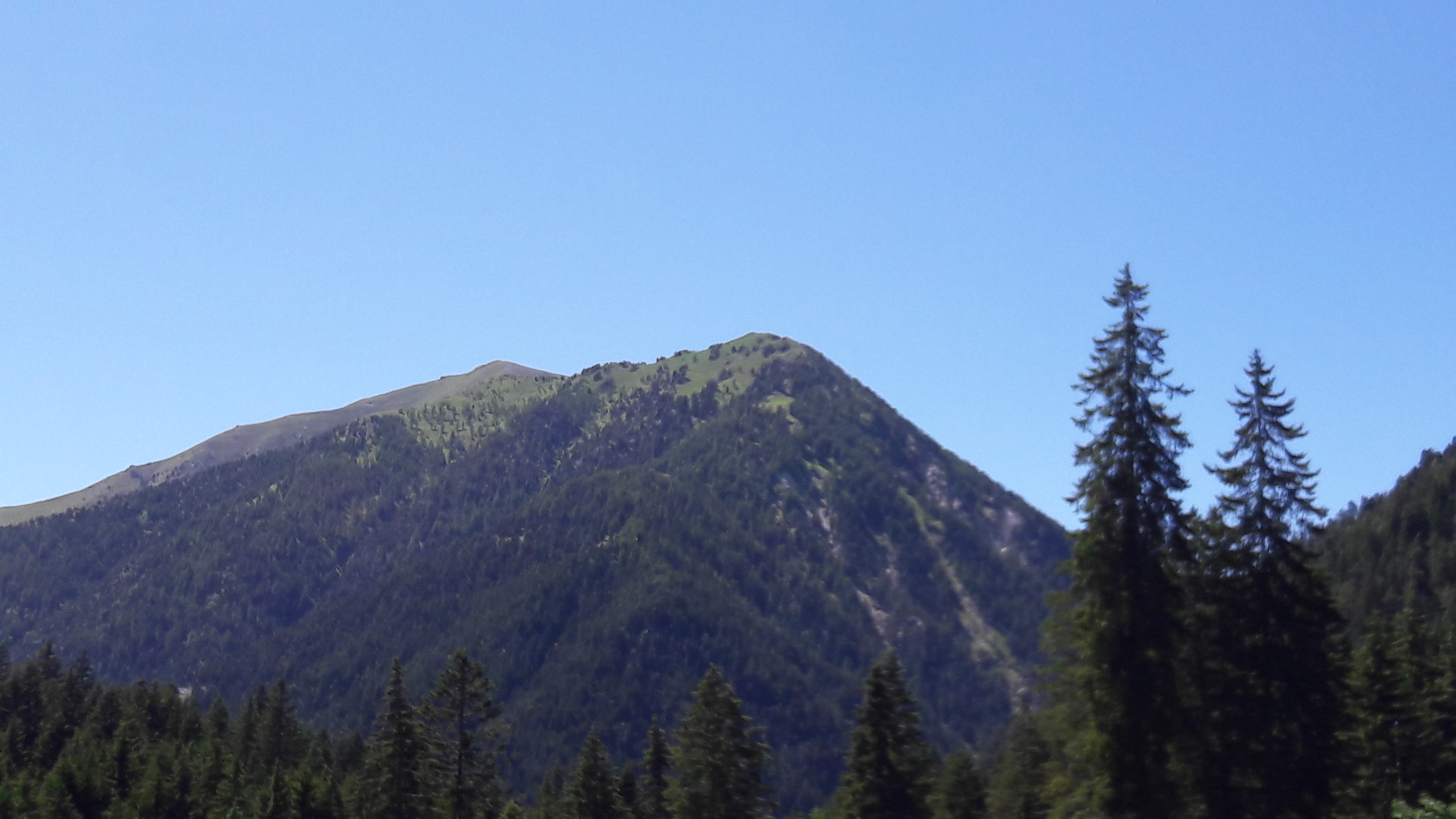 Photo n° 2 de l'avis de Ambre.h fait le 05/03/2017 à 01:43