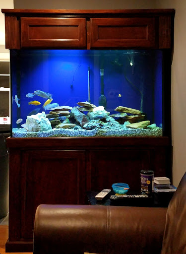 Tropical Fish Store «Aquatic Wildlife Co», reviews and photos, 70 Buckland Rd, South Windsor, CT 06074, USA