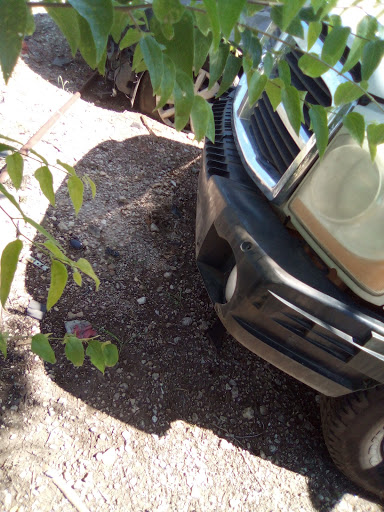 Swimming Pool «Randol Mill Family Aquatic Center», reviews and photos, 1924 Randol Mill Park Rd, Arlington, TX 76012, USA