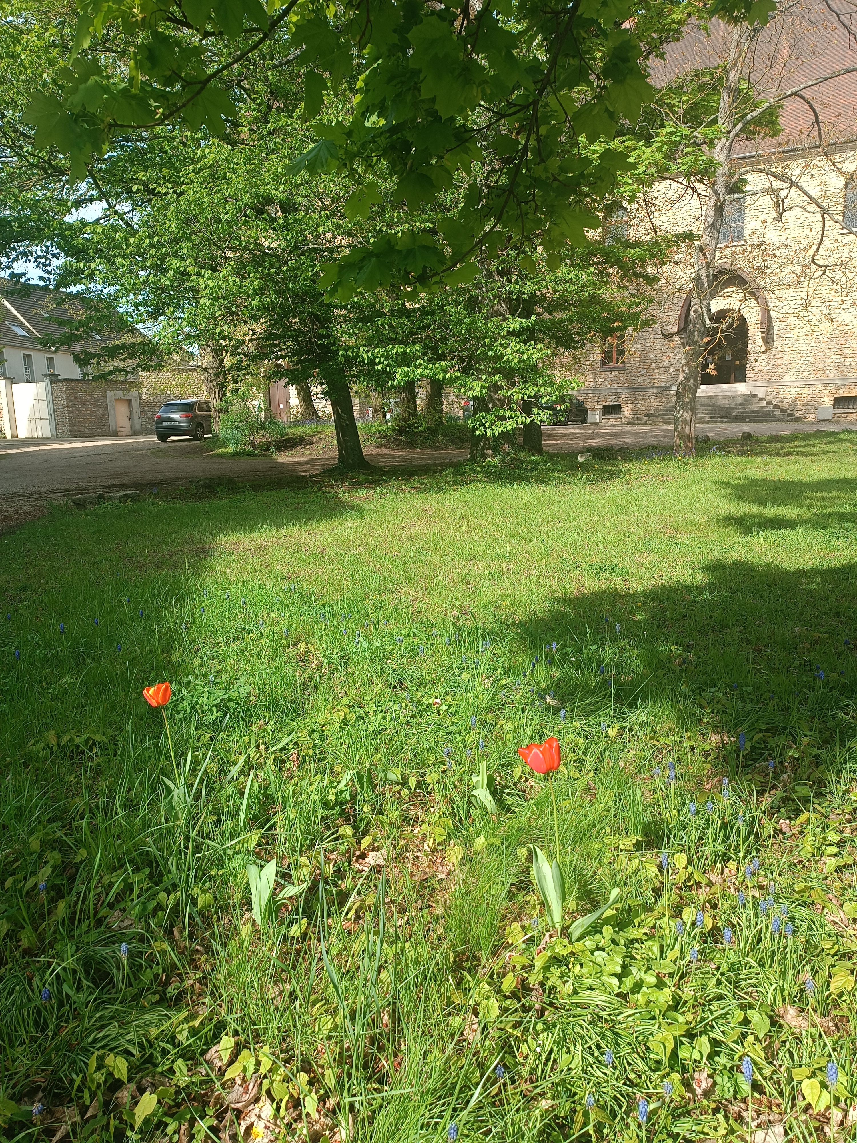 Photo n° 2 de l'avis de Mathilde.e fait le 23/05/2023 à 18:26