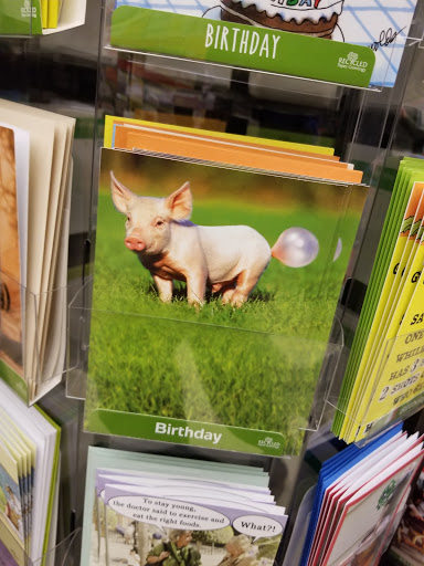 Grocery Store «Randalls», reviews and photos, 6600 S MoPac Expy, Austin, TX 78749, USA