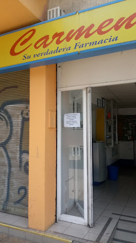 Farmacia Carmen - Puente Alto