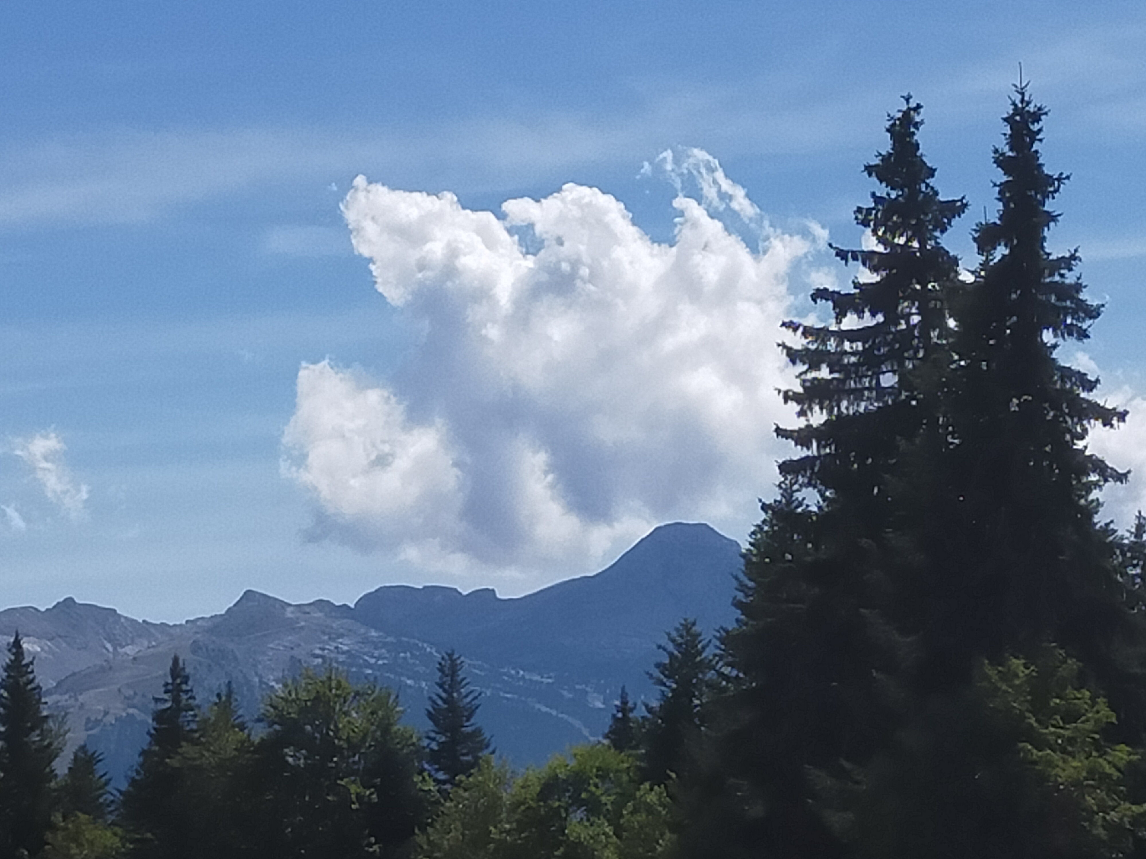 Photo n° 2 de l'avis de Yves.a fait le 15/09/2023 à 19:09