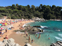 Foto di Spiaggia Cala Boadella area servizi