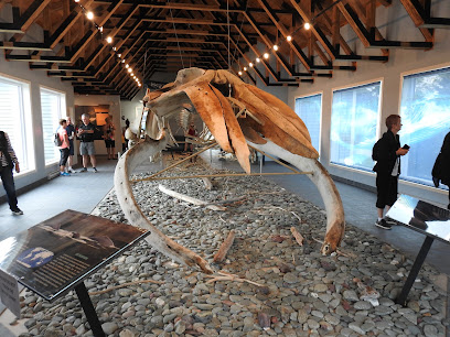 Dr. Jon Lien Whale Pavilion