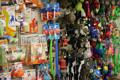 Lawn Mower Store «Ellington Agway», reviews and photos, 74 West Rd, Ellington, CT 06029, USA