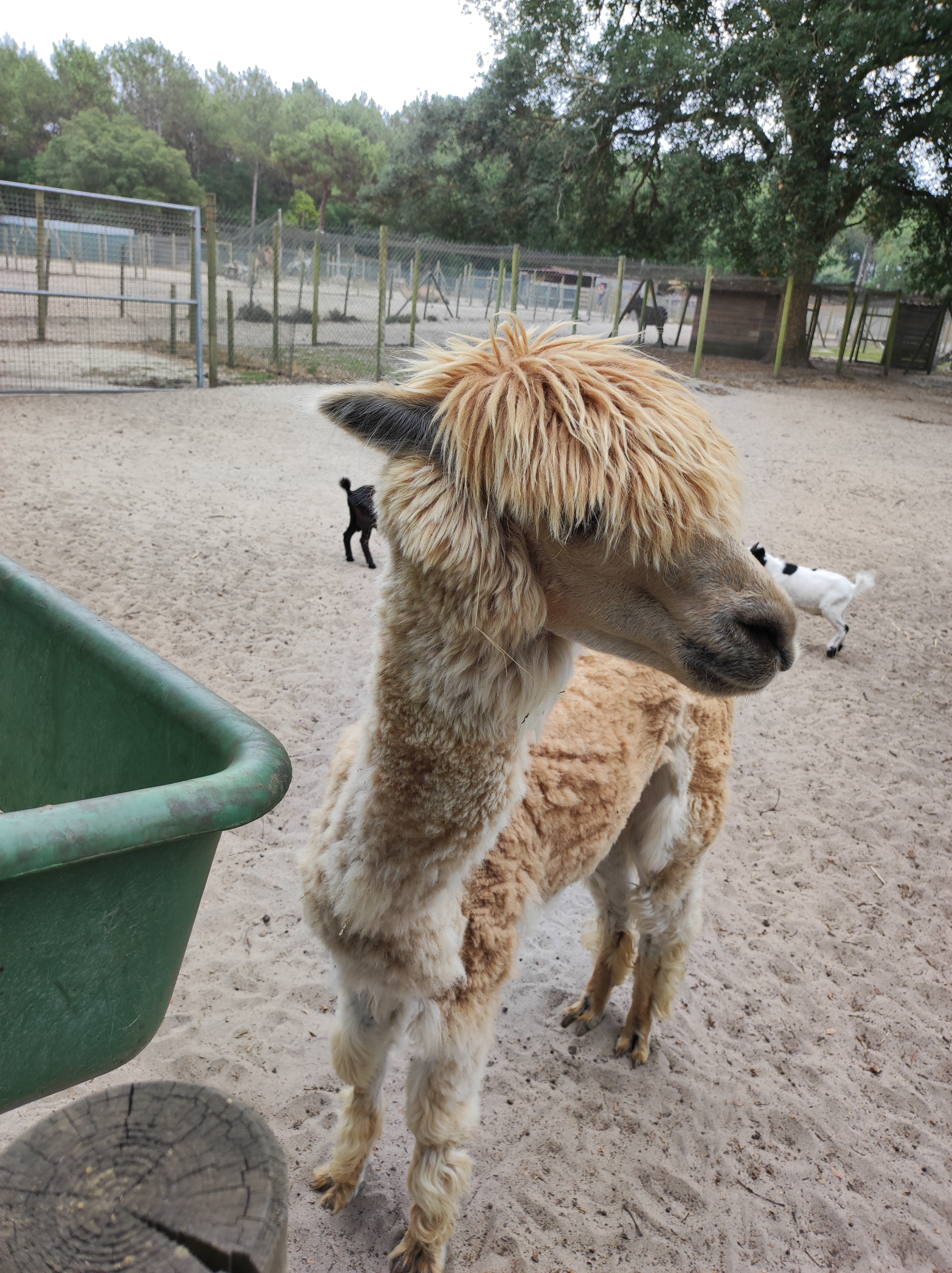 Photo n° 4 de l'avis de Val.i fait le 29/08/2022 à 10:19