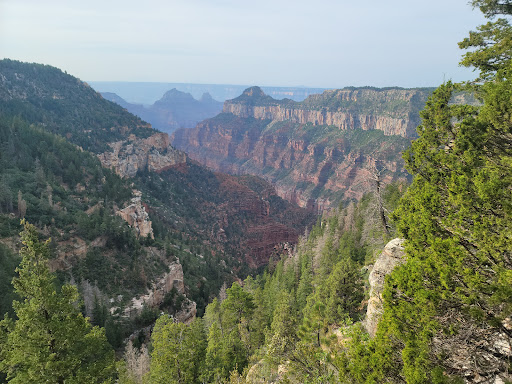 Widforss Trailhead