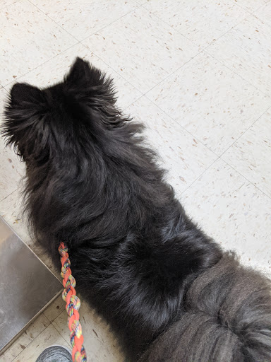 Veterinarian «Pet Vet Supply», reviews and photos, 1215 E Lockheed Dr, Oklahoma City, OK 73110, USA