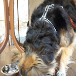 Photo n°3 de l'avis de giovanni.e fait le 11/10/2019 à 22:13 sur le  Caffè Visconti à Borghetto