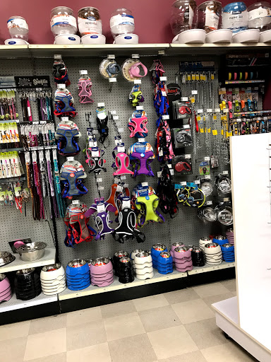 Pet Store «Petland Vineyard - San Antonio», reviews and photos, 1309 North Loop 1604 W #101, San Antonio, TX 78258, USA