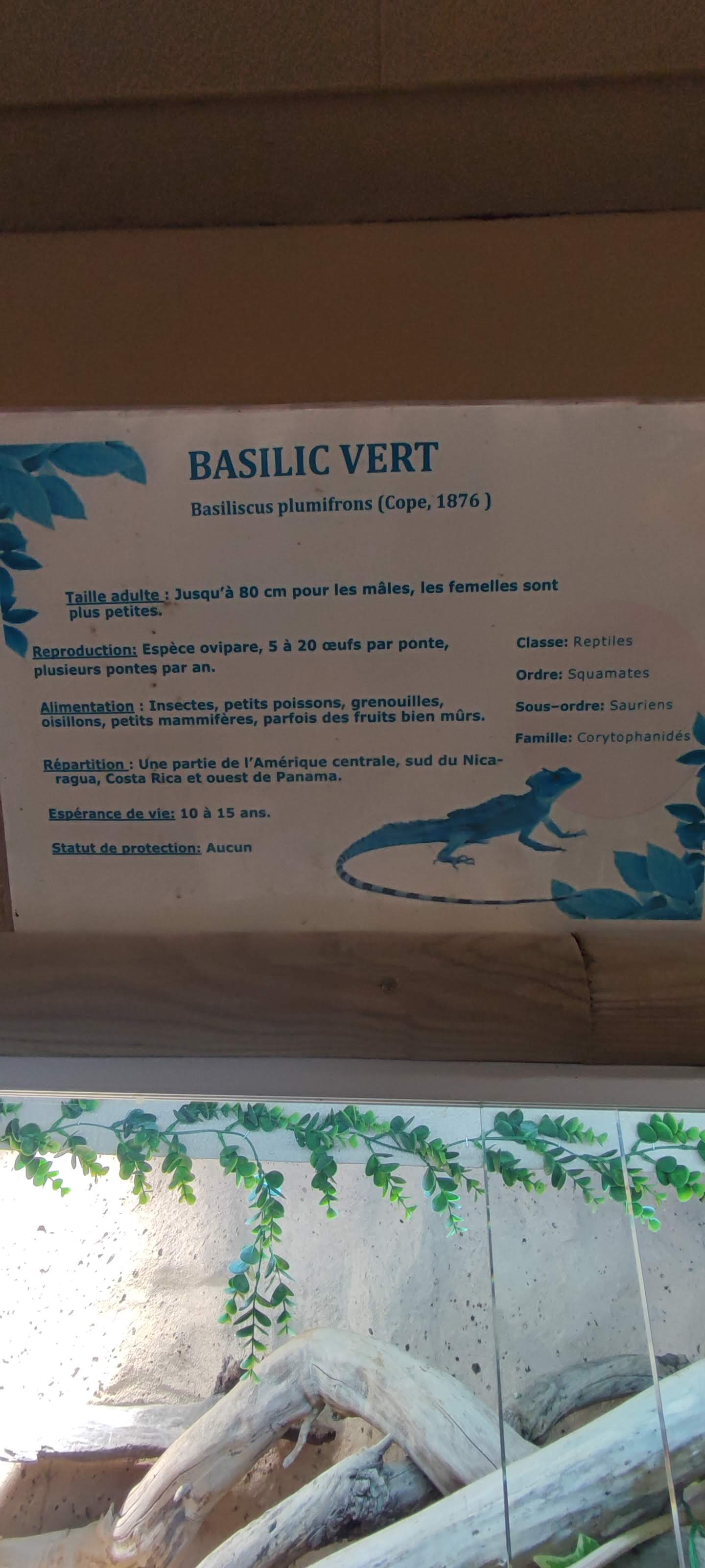 Photo n° 11 de l'avis de Yannick.o fait le 11/02/2023 à 16:29