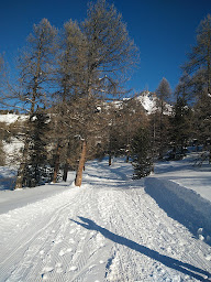 Photo n°12 de Restaurant L'Igloo Varsin à Vars ()