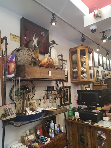 Explore polish tattoo ideas, creative tattoo ideas in Frederick, available at Time Bomb Tattoos & Curiosities