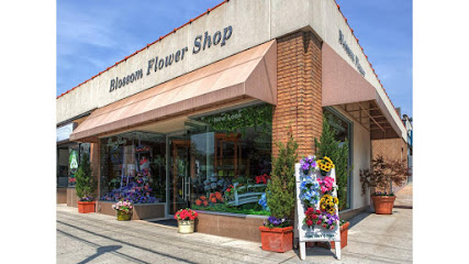 Blossom Flower Shops