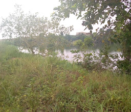 Strabag Lake photo