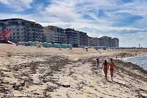 Praia da Salgueira image