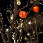 Photo n°3 de l'avis de Anna.a fait le 03/08/2022 à 19:36 sur le  Il Convivio di Nonno Ciro à Urbino