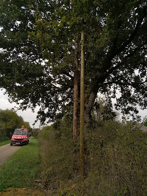Guilloux Matériaux à Vire-Normandie