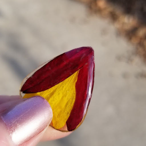 Jewelry Designer «Flowers Forever», reviews and photos, 2769 Rosewood Dr, Columbia, SC 29205, USA