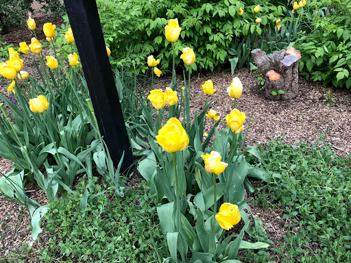 Zoo «Denver Zoo», reviews and photos, 2300 Steele St, Denver, CO 80205, USA