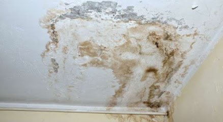 Chandler Mold Removal & Remediation Service