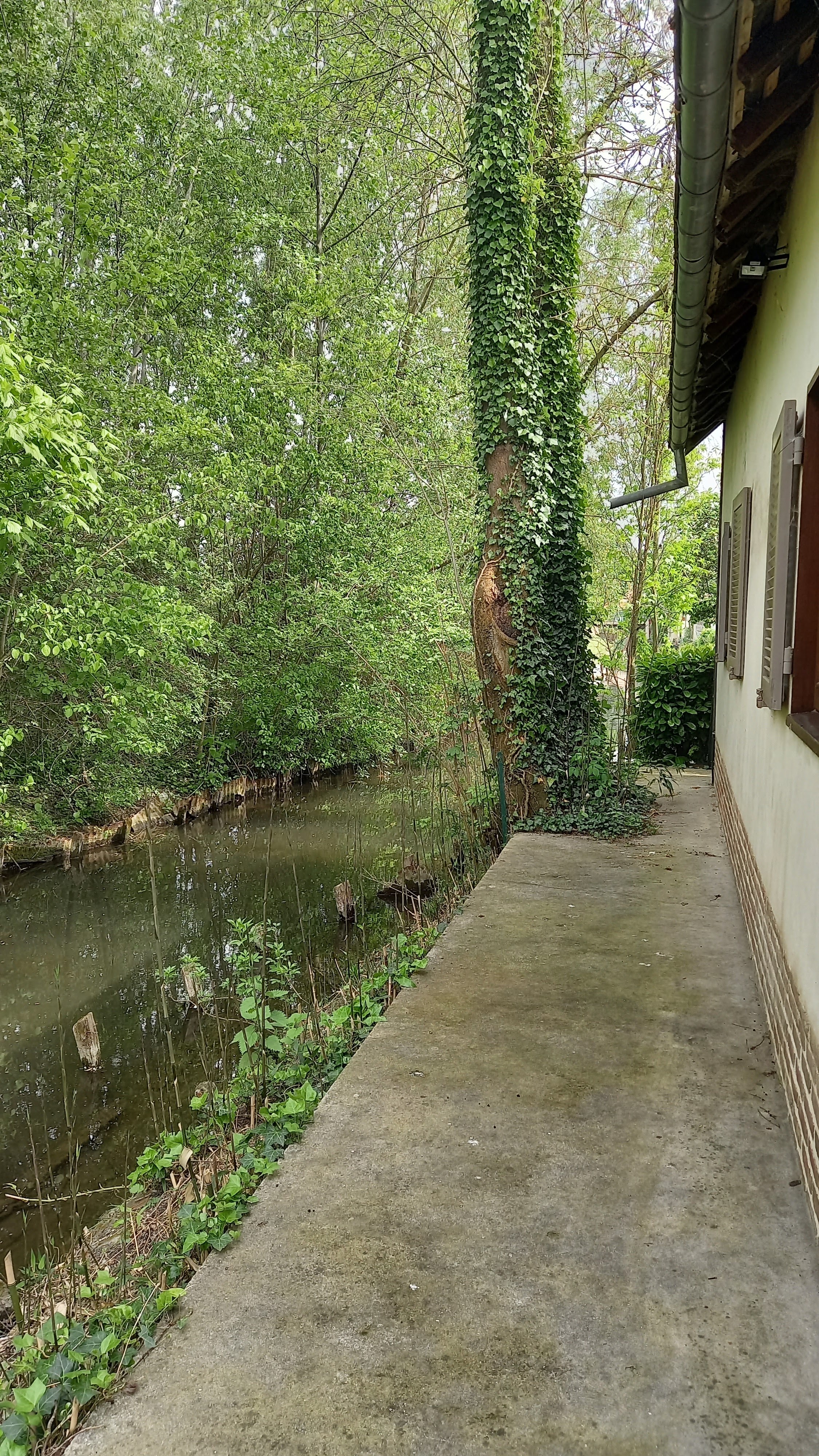 Photo n° 4 de l'avis de Hélène.e fait le 05/05/2022 à 16:28