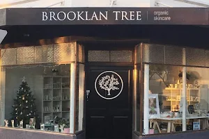 Brooklan Tree image