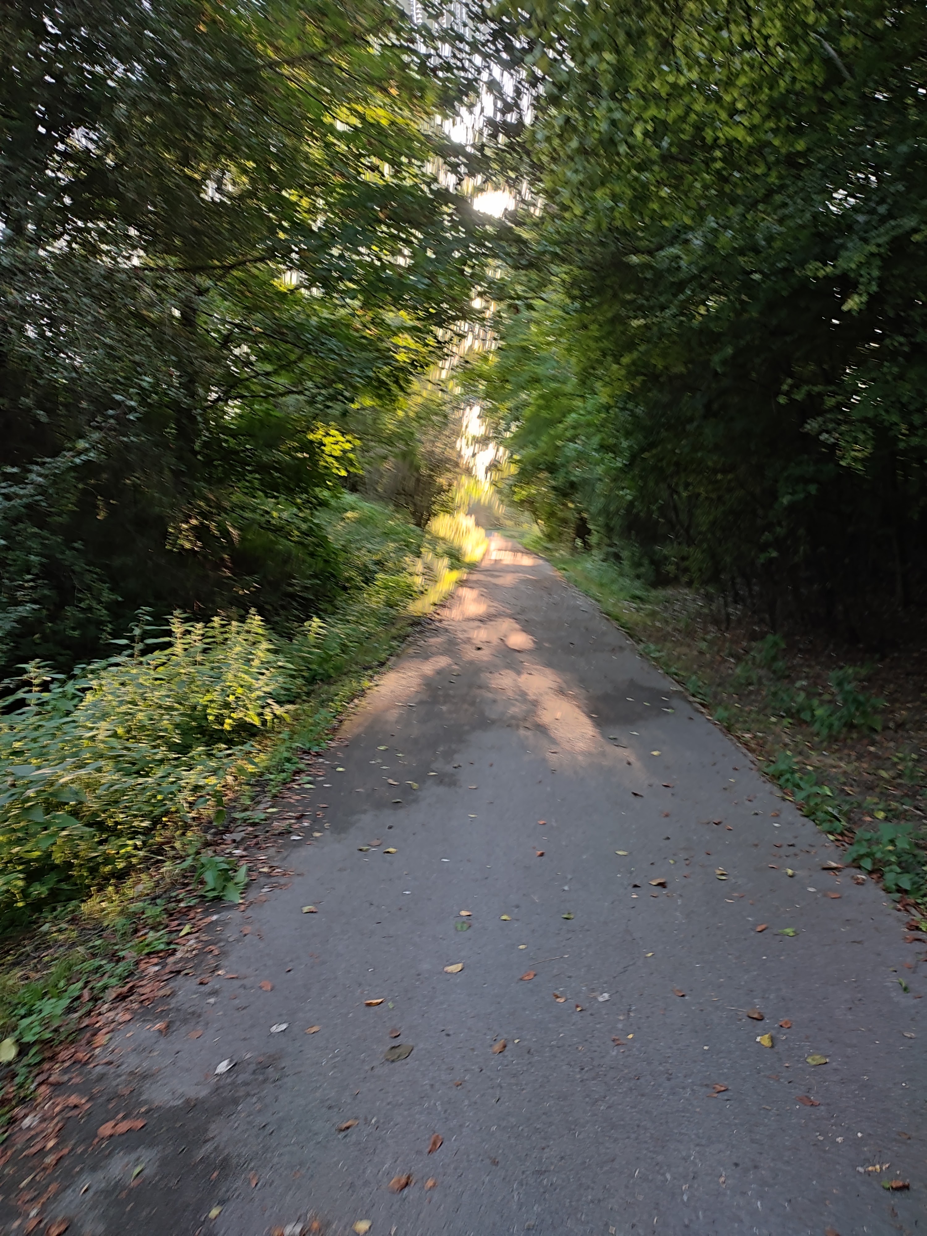 Photo n° 3 de l'avis de didier.a fait le 17/09/2021 à 05:56