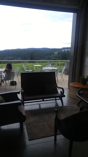 Winery «Raptor Ridge Winery», reviews and photos, 18700 SW Hillsboro Hwy, Newberg, OR 97132, USA